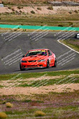 media/Feb-25-2024-Speed Ventures (Sun) [[b9a2a97a4d]]/Mustang Drivers Club/Session 3 (Turn 2)/